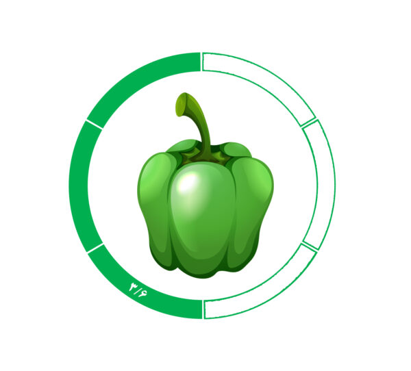 فلفل دلمه 3/6 فلفل دلمه 3/6