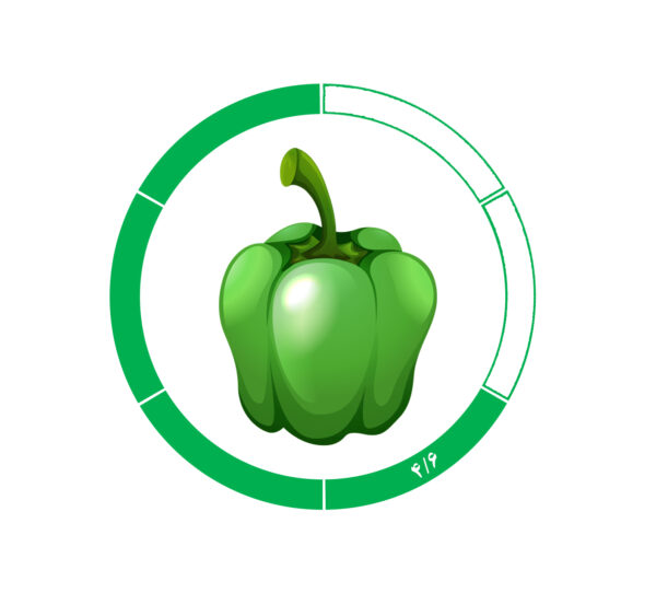 فلفل دلمه 4/6 فلفل دلمه 4/6