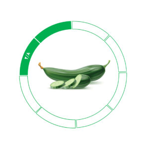 خیار صادراتی 2/8