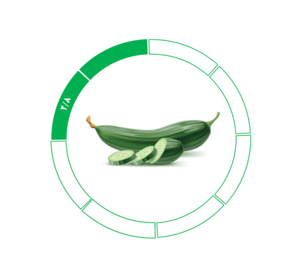 خیار صادراتی 2/8