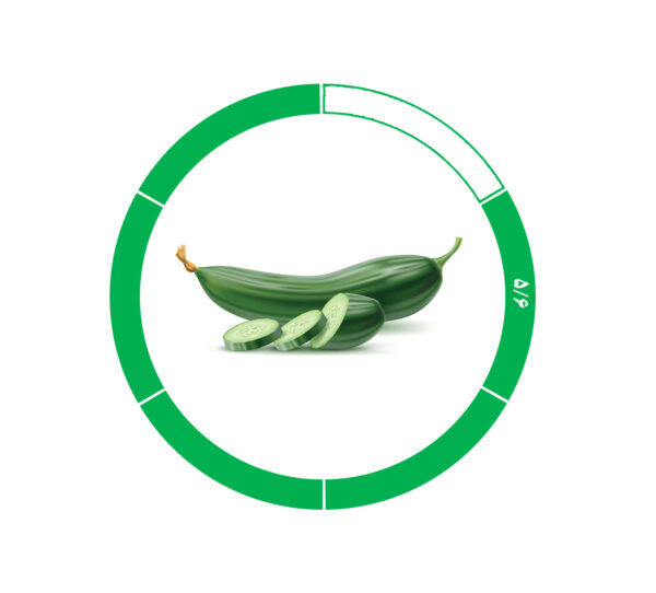 خیار صادراتی 5/6 خیار صادراتی 5/6