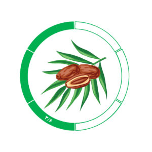 خرما کلوته 3/6