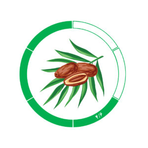 خرما کلوته 4/6