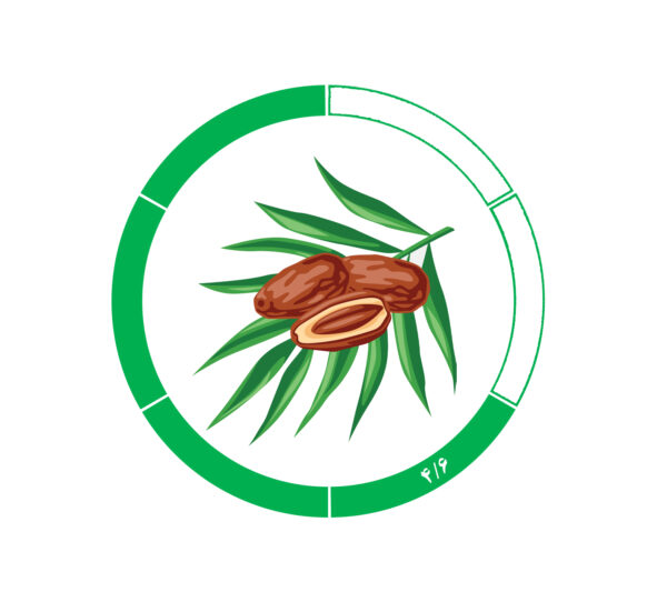 خرما کلوته 4/6 خرما کلوته 4/6