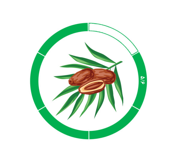 خرما کلوته 5/6 خرما کلوته 5/6