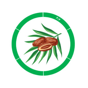 خرما کلوته 6/6