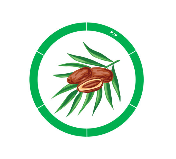 خرما کلوته 6/6 خرما کلوته 6/6