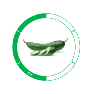 خیار صادراتی 3/6