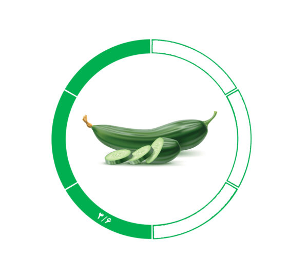 خیار صادراتی 3/6