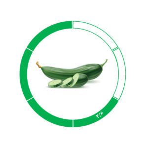 خیار صادراتی 4/6