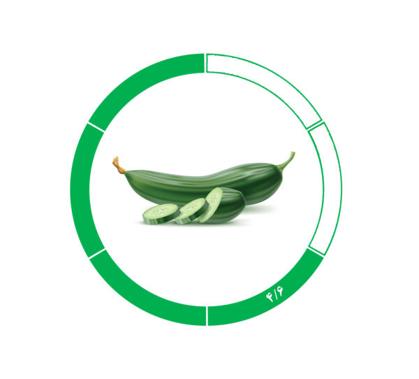 خیار صادراتی 4/6 خیار صادراتی 4/6