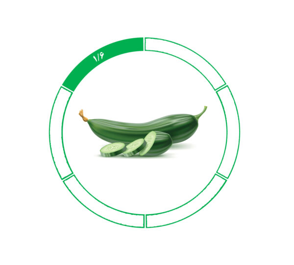 خیار صادراتی 1/6