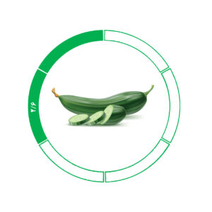 خیار صادراتی 2/6