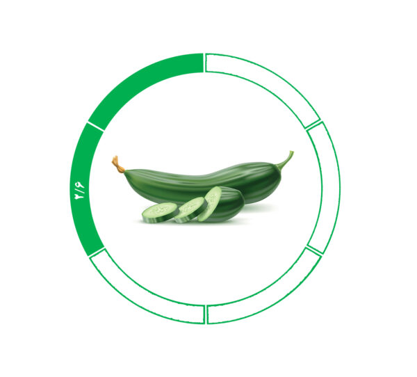 خیار صادراتی 2/6 خیار صادراتی 2/6