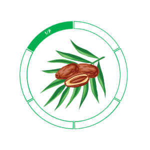 خرما کلوته 1/6