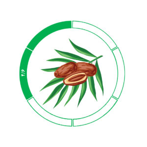 خرما کلوته 2/6