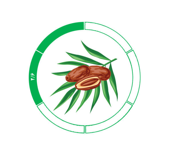 خرما کلوته 2/6 خرما کلوته 2/6