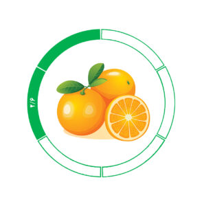 پرتقال جنوب 2/6