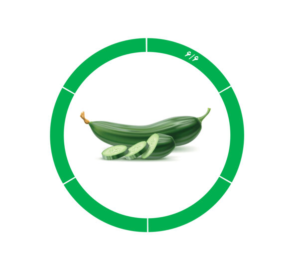 خیار صادراتی 6/6 خیار صادراتی 6/6