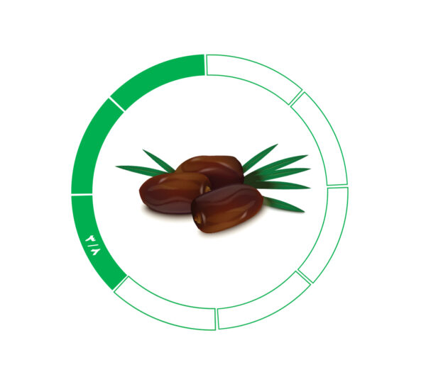 خرما مضافتی 3/8 خرما مضافتی 3/8