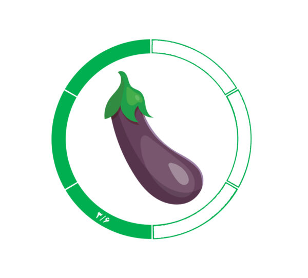 بادمجان 3/6 بادمجان 3/6