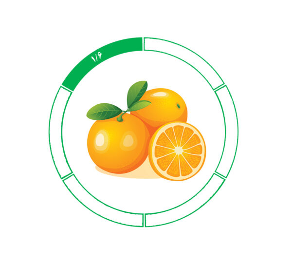 پرتقال جنوب 1/6 پرتقال جنوب 1/6