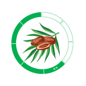 خرما کلوته 5/8