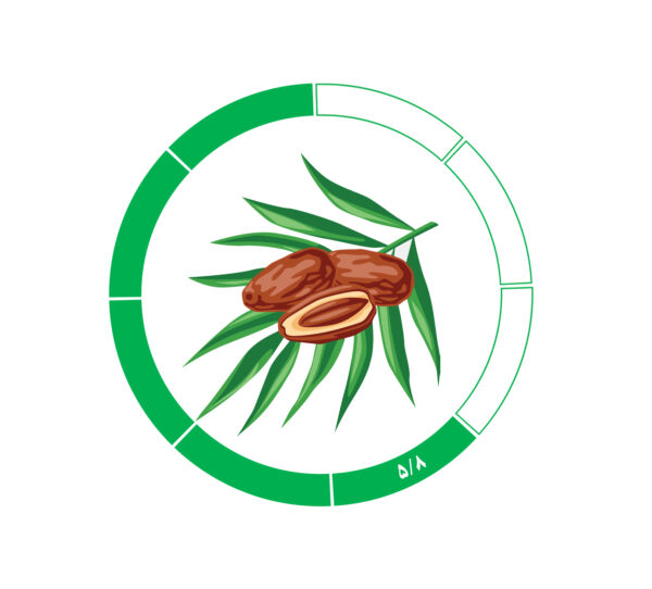 خرما کلوته 5/8 خرما کلوته 5/8