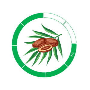 خرما کلوته 6/8