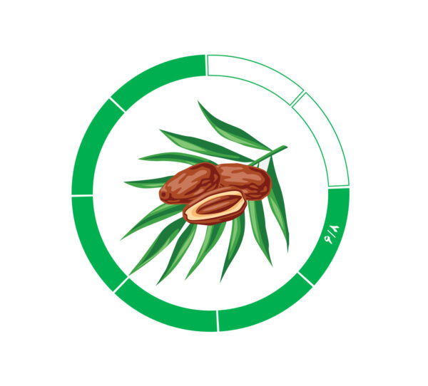 خرما کلوته 6/8 خرما کلوته 6/8