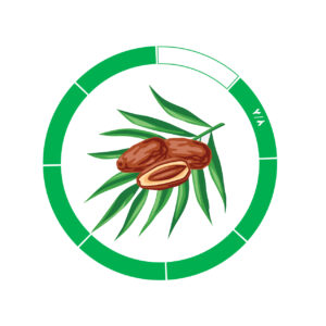 خرما کلوته 7/8