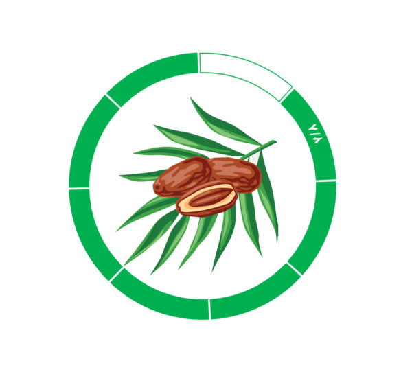 خرما کلوته 7/8 خرما کلوته 7/8