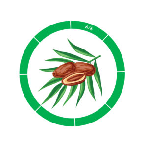 خرما کلوته 8/8