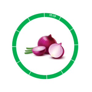 پیاز صادراتی 12/12