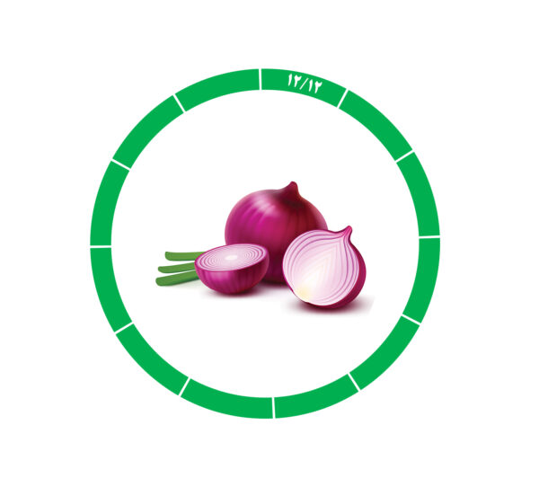 پیاز صادراتی 12/12 پیاز صادراتی 12/12