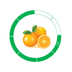 پرتقال جنوب 6/8