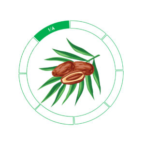 خرما کلوته 1/8