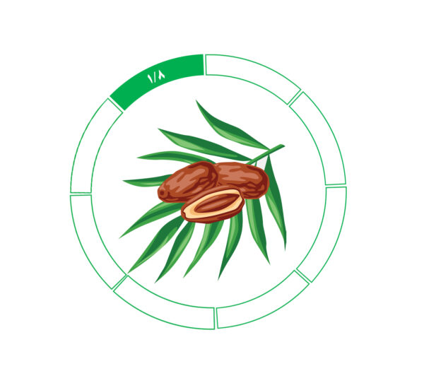 خرما کلوته 1/8