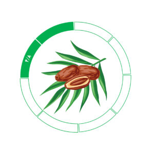 خرما کلوته 2/8