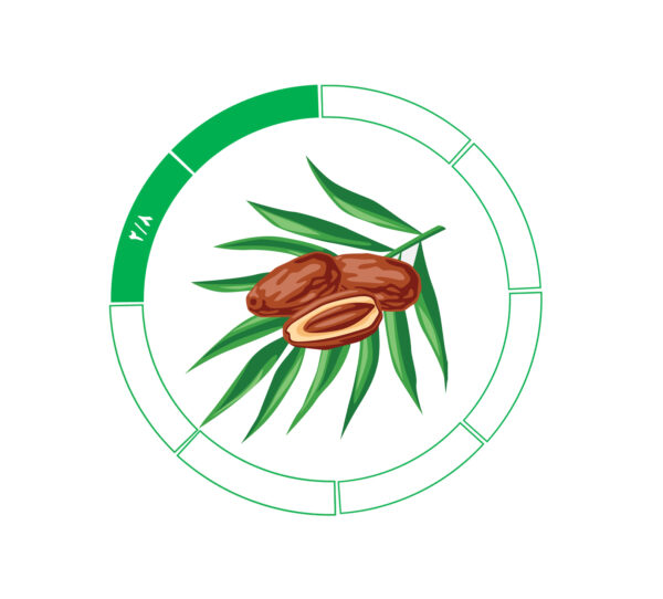 خرما کلوته 2/8