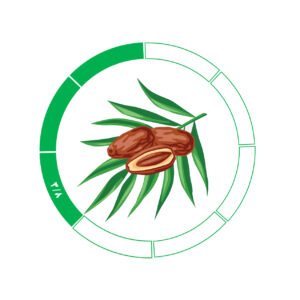 خرما کلوته 3/8
