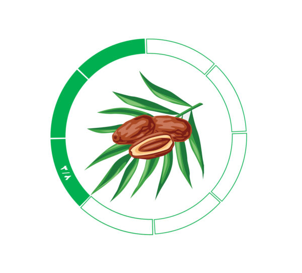 خرما کلوته 3/8 خرما کلوته 3/8