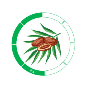 خرما کلوته 4/8