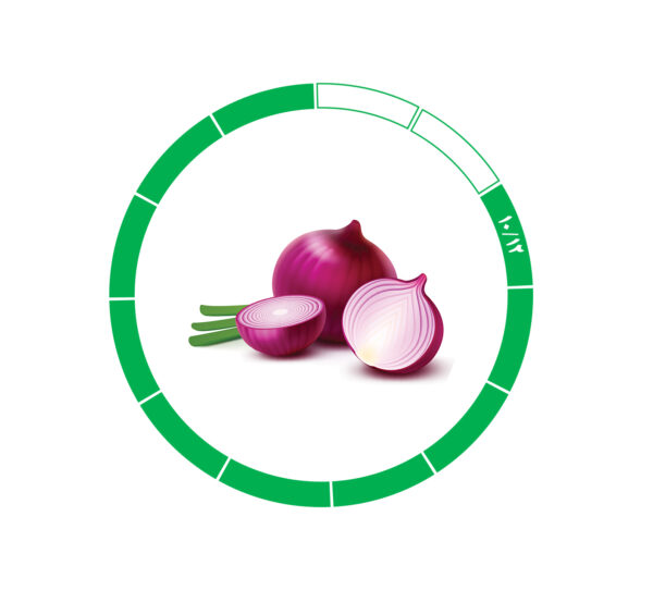 پیاز صادراتی 10/12 پیاز صادراتی 10/12