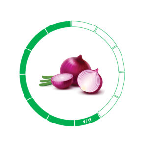 پیاز صادراتی 7/12