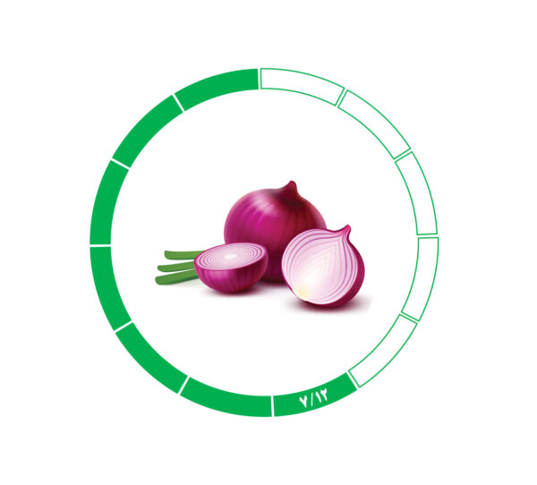 پیاز صادراتی 7/12 پیاز صادراتی 7/12
