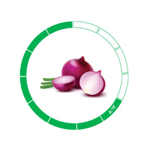 پیاز صادراتی 8/12