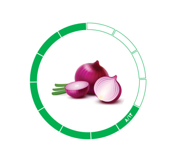 پیاز صادراتی 8/12 پیاز صادراتی 8/12