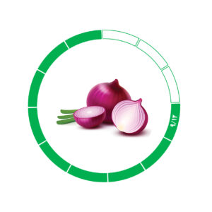 پیاز صادراتی 9/12