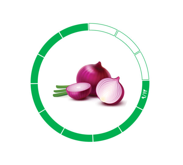 پیاز صادراتی 9/12 پیاز صادراتی 9/12